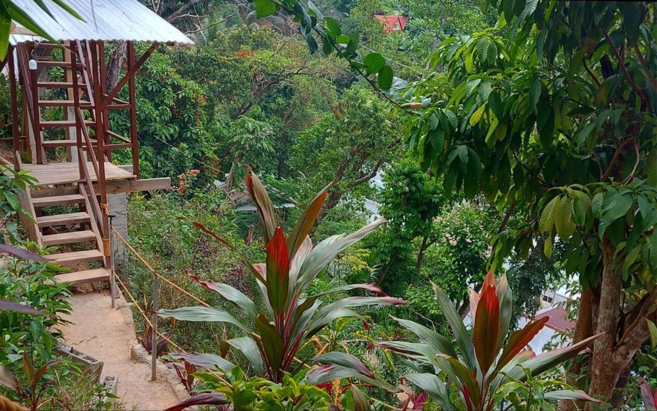Balecabugaocottagesrental El Nido Exterior foto